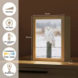 Sneeuwuil - Hek - Sneeuw - Wit Light Box met kabel (Kinderlampje) klein -USP_DE