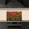 Bloemen - Klaprozen - Natuur - Rood keuken achterwand spatscherm klein -sfeer1