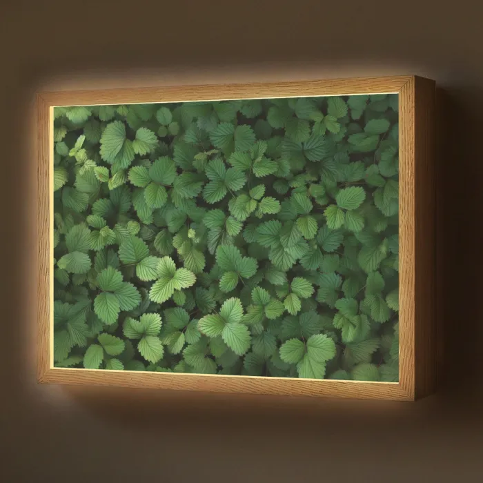 Groen - Bladeren - Kartel - Zonlicht Light Box met batterij (Wandlamp) middel -z3d_website