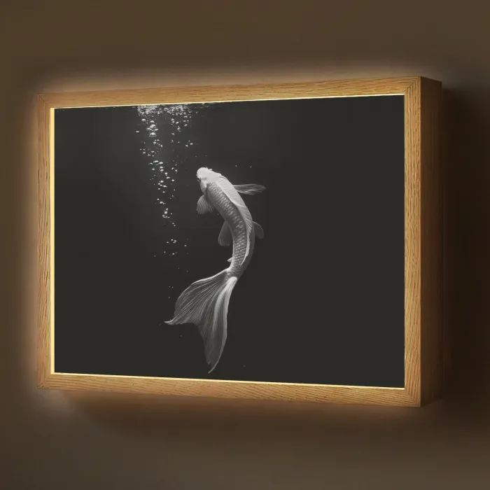 Koi - Vis - Wit - Zwart Light Box met batterij (Wandlamp) middel -z3d_website