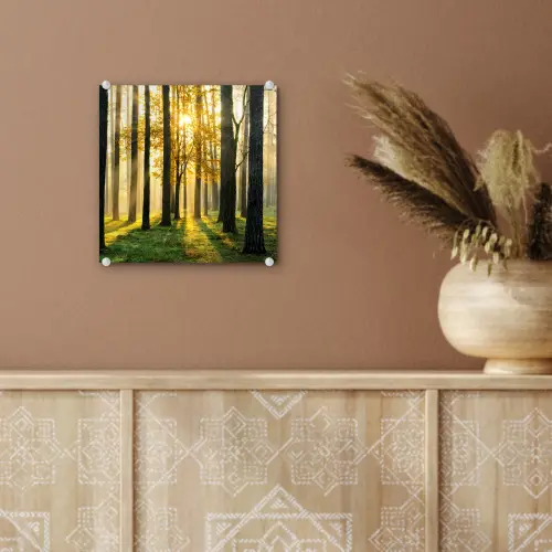 Bos - Zon - Bomen - Gras - Landschap  - Natuur plexiglas 5mm klein -sfeer5