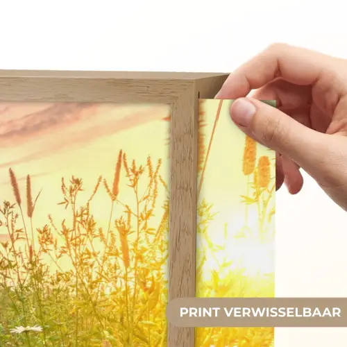 Bloemen - Madelief - Natuur - Zon - Horizon Light Box met batterij (Wandlamp) middel -USP_websiteprintNL