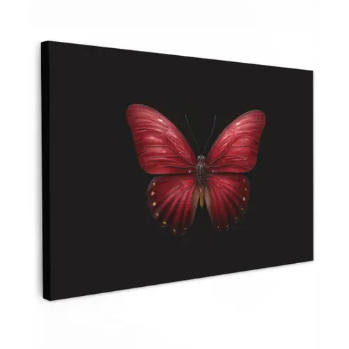 Vlinder - Rood - Minimalistisch canvas 2cm klein -z3d