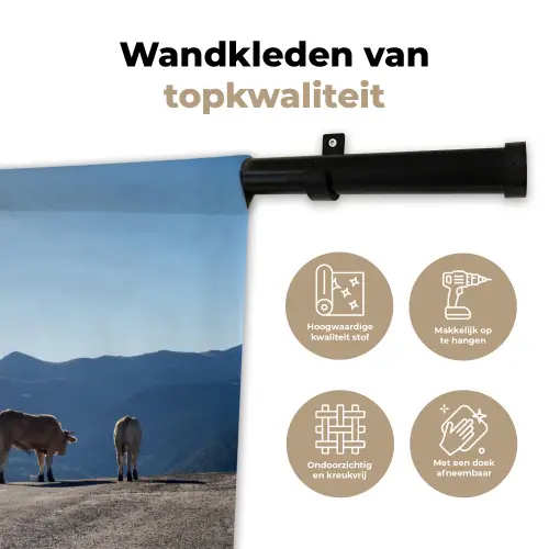 Schotse hooglander - Licht - Berg - Natuur Wandkleed katoen klein -sfeer2