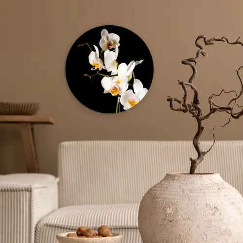 Orchidee - Bloemen - Planten - Botanisch Wandcirkel kunststof plaat 5mm dik klein -sfeer1
