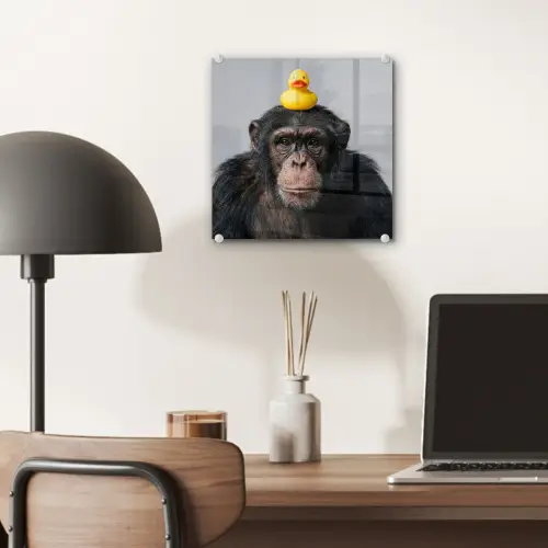 Chimpansee - Badeend - Grijs plexiglas 5mm klein -sfeer6