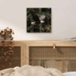 Zeearend - Vliegen - Bos - Natuur aluminium wit klein -sfeer3
