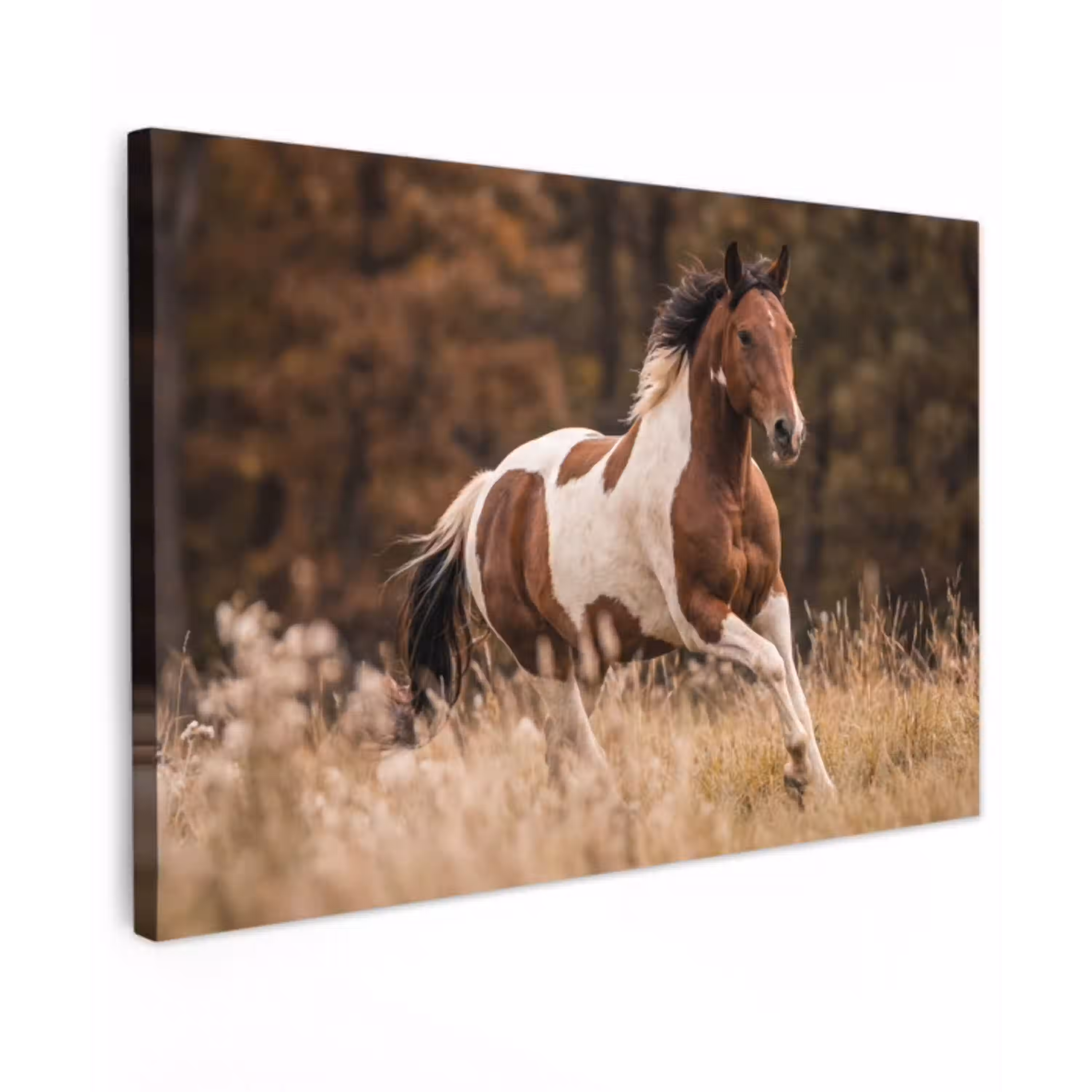 Paard - Bruin - Gras canvas 2cm klein -z3d