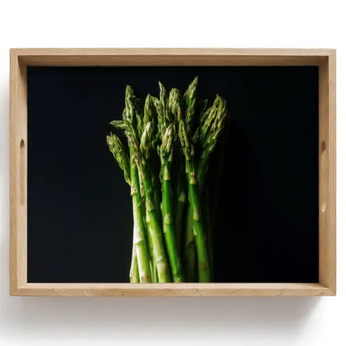 Asperges - Felgroen Dienblad Rechthoek middel -z3d_shopping