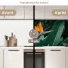 Paradijsvogel - Bloem - Exotisch keuken achterwand 2 middel -voor-na2_FR