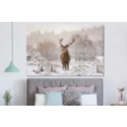 Edelhert - Bos - Sneeuw - Winter - Majestueus forex 5mm xxl -slaapkamer