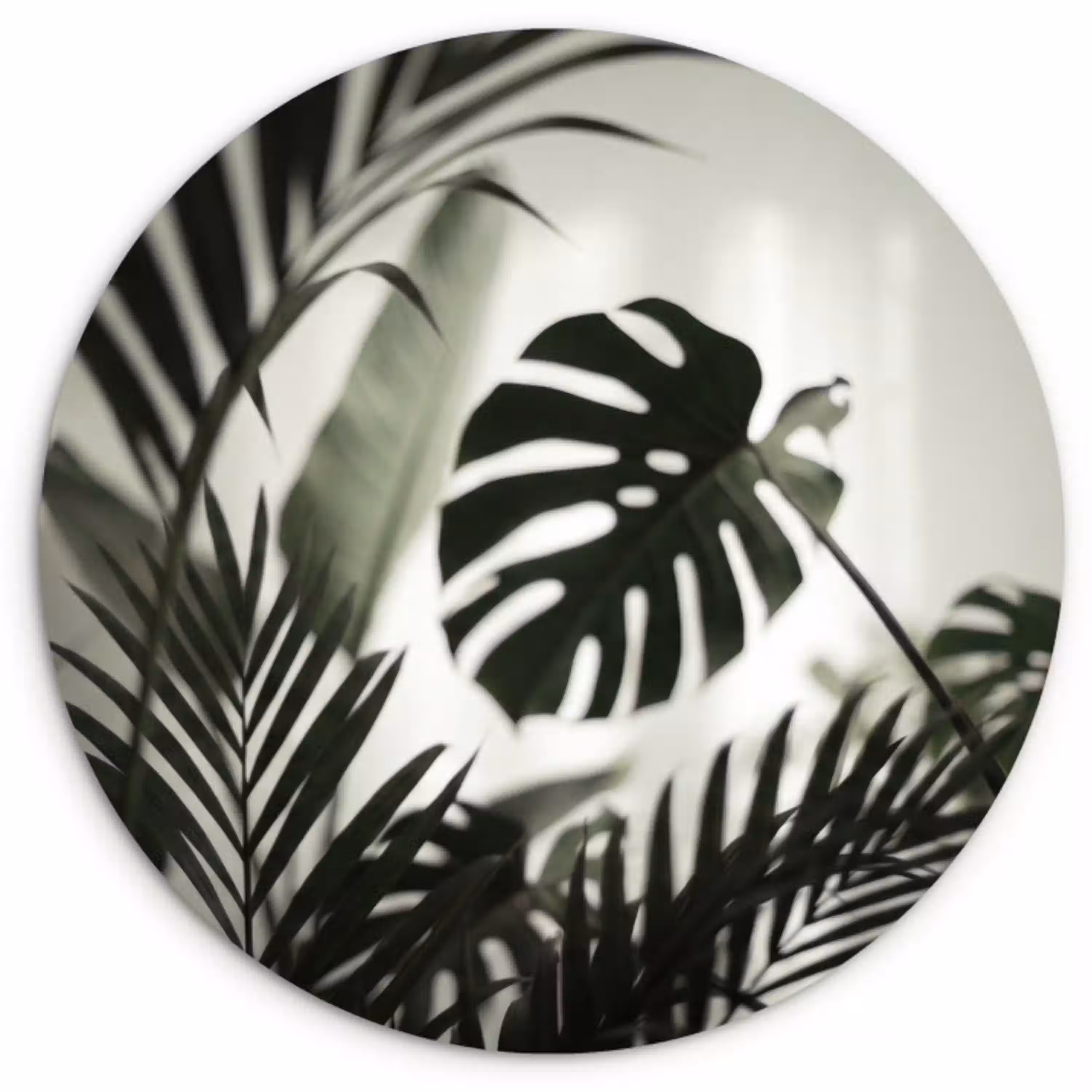 Planten - Bladeren - Natuur - Minimalistisch - Groen Wandcirkel kunststof plaat 5mm dik klein -3d
