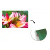 Tropische vogel tussen roze bloem fotobehang vinyl groot -3d