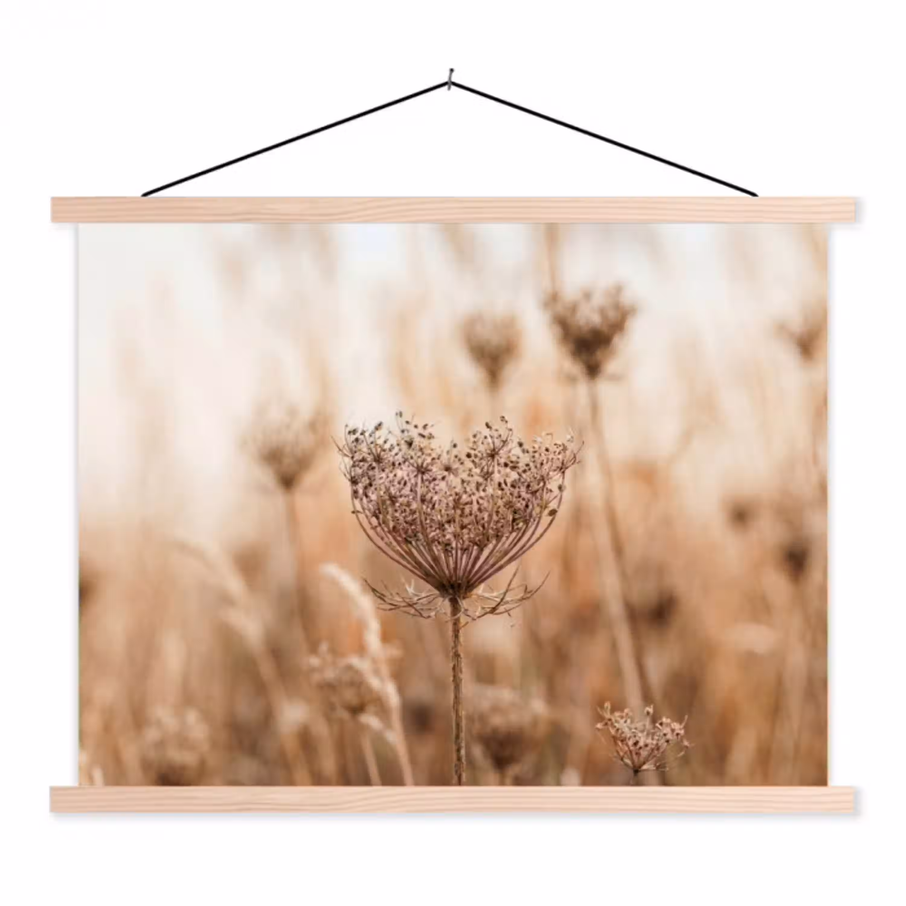 Schermbloem - Droogbloem - Winter - Beige - Minimalistisch textielposter latten blank klein -3d
