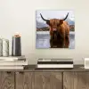 Schotse hooglander - Bruin - Water aluminium wit klein -sfeer1