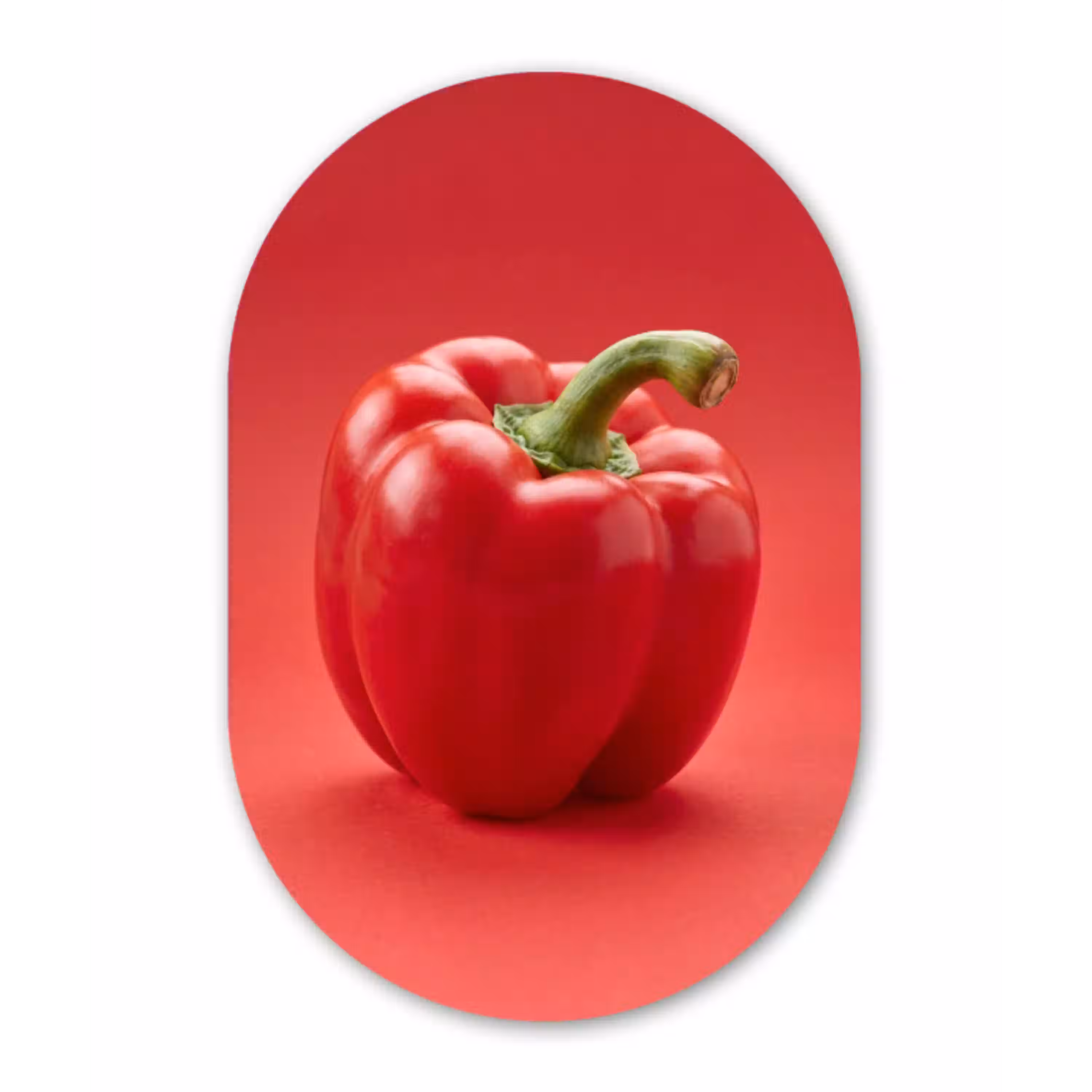 Eten - Paprika - Rood Wandcirkel Ovaal Aluminium middel -3d