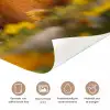 Niedlicher Biber mit Bauhelm im Blumenfeld. deurposter klein -closeup_NL