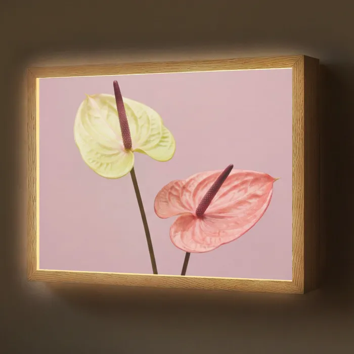 Bloemen - Anthuriums - Geel - Roze Light Box met batterij (Wandlamp) middel -z3d_website