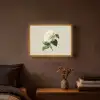Cameliabloem - Wit - Groen Light Box met batterij (Wandlamp) middel -sfeer4
