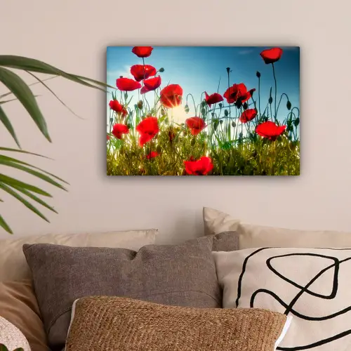 Klaprozen - Toscane - Zon - Rood - Blauw canvas 2cm klein -sfeer1