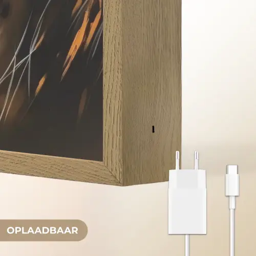 Luipaard - Oranje - Wit - Gras Light Box met batterij (Wandlamp) middel -USP_websiteoplaadbaarNL