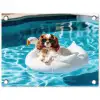 Spaniel - Zonnebril - Zwemband - Zwemband tuinposter los doek klein -3d