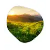 Gras - Heuvels - Zon - Natuur Wandcirkel Organisch Forex 3mm klein -3d