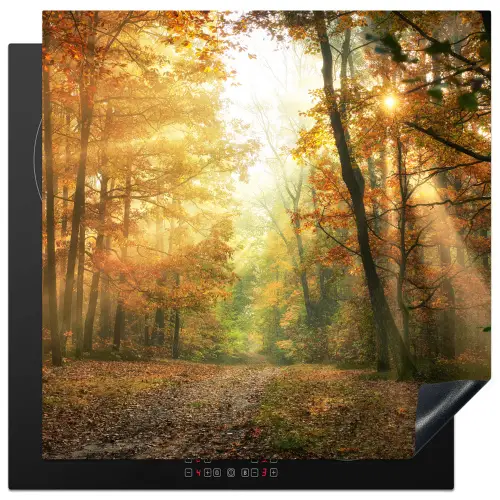 Bos - Herfst - Zon - Landschap - Natuur - Bomen - Bladeren Inductie beschermer vinyl 3mm middel -3d