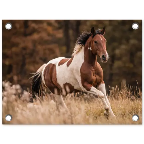 Paard - Bruin - Gras tuinposter los doek klein -3d