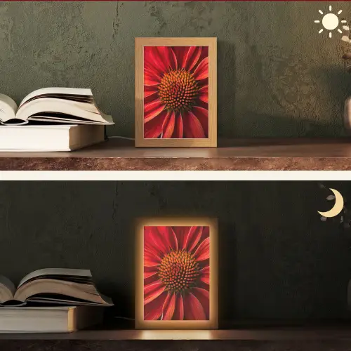 Close up - Bloem- Rood Light Box met kabel (Tafellamp) klein -sfeer3