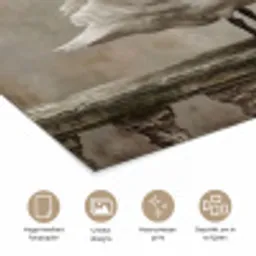 Zwaan - Elegant - Dieren - Wit poster papier klein -closeup_NL