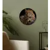 Wilde dieren - Panter - Portret - Zwart - Dieren Wandcirkel kunststof plaat 5mm dik klein -sfeer3