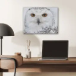 Sneeuwuil - Oog - Wildlife - Wit PET vilt klein -sfeer5