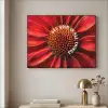 Close up - Bloem - Quote - Rood Textielframe zwart klein -sfeer2