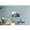 Schotse hooglander - Koe - Dieren - Zwart - Wit Muursticker klein -plant