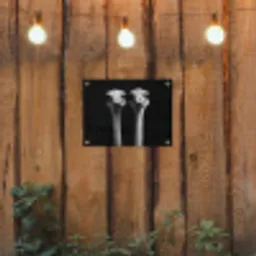 Struisvogels - Halzen - Zwart - Minimalistisch tuinposter los doek klein -sfeer1