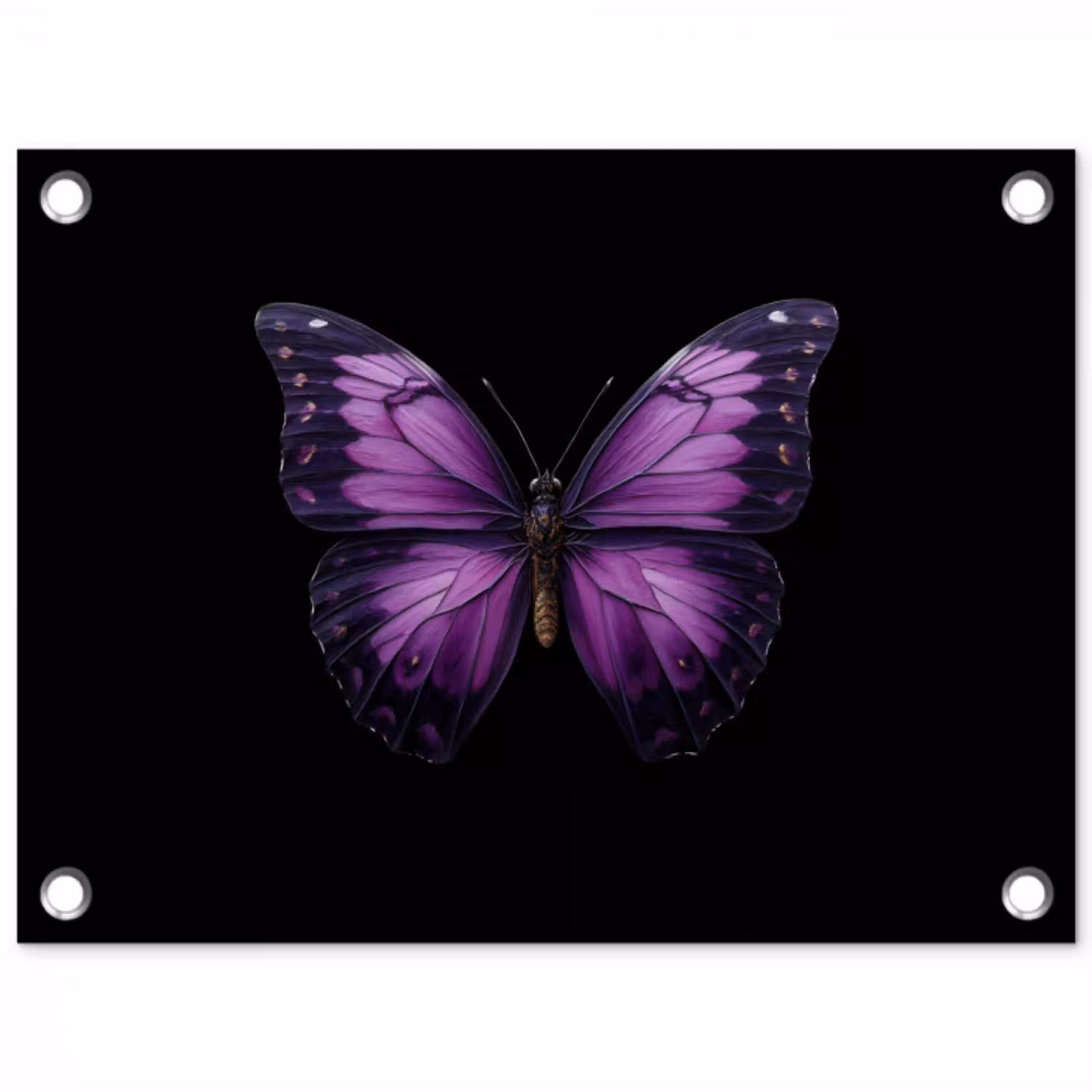 Vlinder - Paars - Levendig tuinposter los doek klein -3d