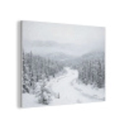 Rivier - Bevroren - Landschap - Winter PET vilt klein -3d