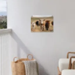 Runderen - Kudde - Landschap - Weide - Rustig tuinposter los doek klein -sfeer8