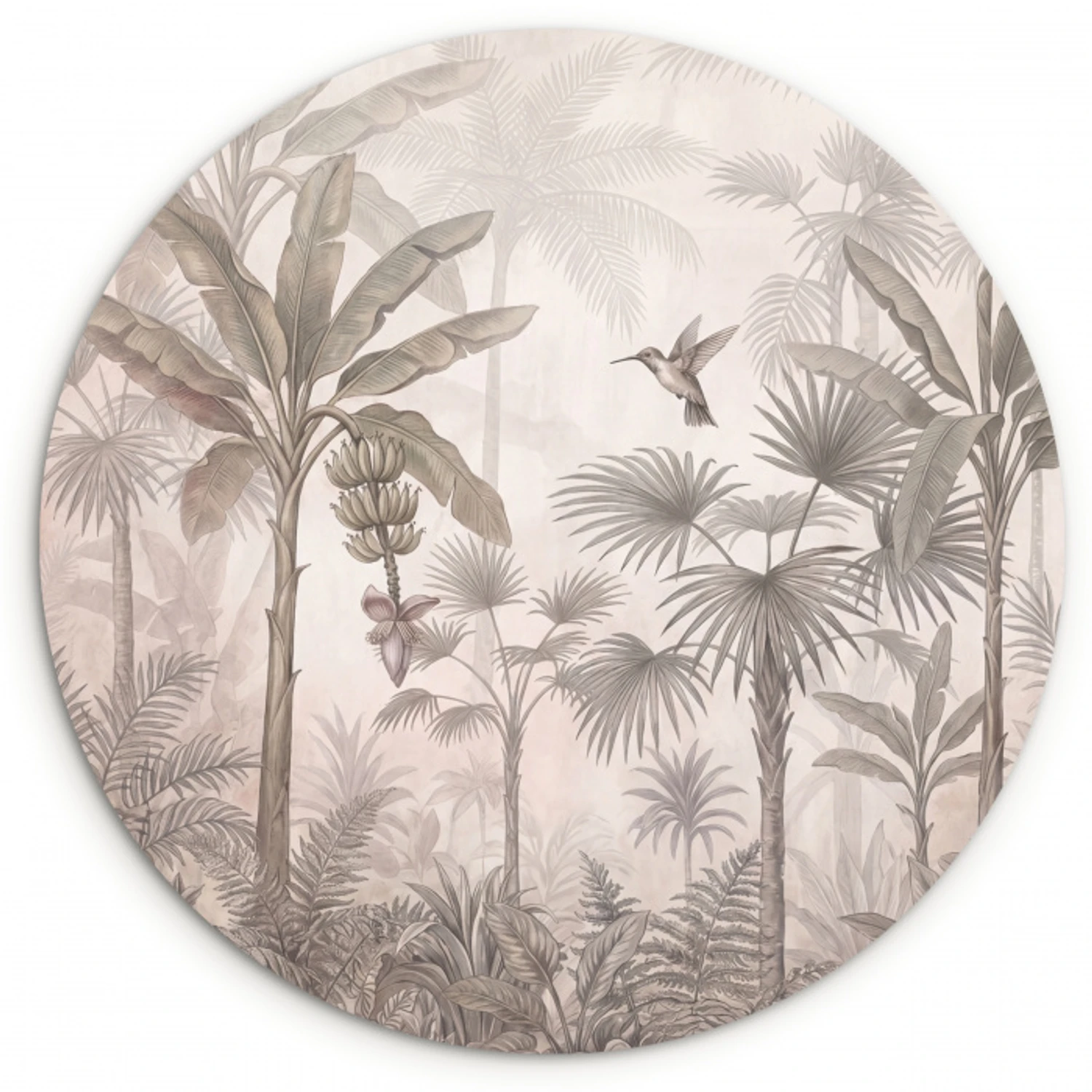 Jungle - Banenboom - Kolibrie - Beige Wandcirkel kunststof plaat 5mm dik klein -3d