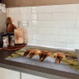 Schotse Hooglanders - Weg - Landschap - Kudde Inductie beschermer vinyl 3mm klein -sfeer3