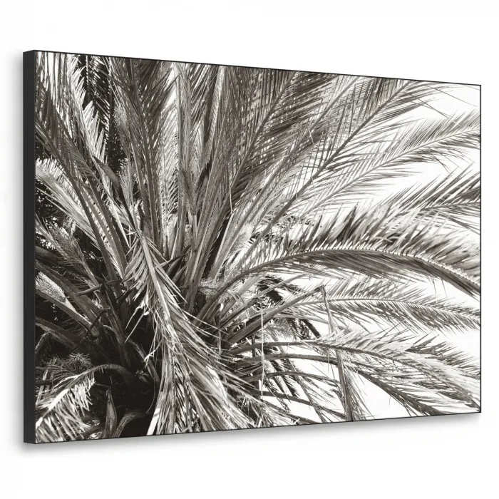 Palmboom - Tropisch - Zwart - Wit Textielframe zwart klein -3d