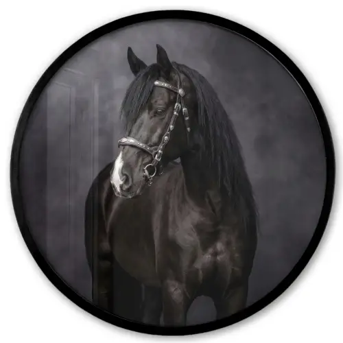 Portret - Paard - Zwart Fotolijst rond zonder passe partout klein -3d