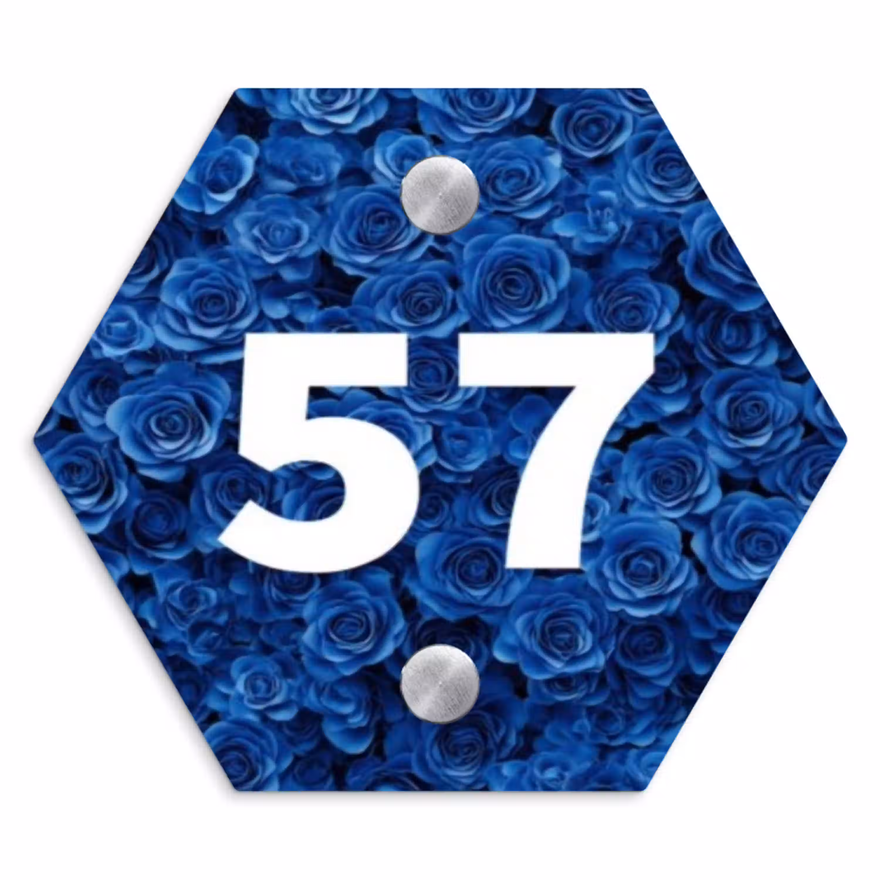 Blauwe rozen - Traditioneel Naambord Hexagon klein -3d