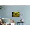 Bomen - Steen - Bos - Natuur Muursticker klein -plant