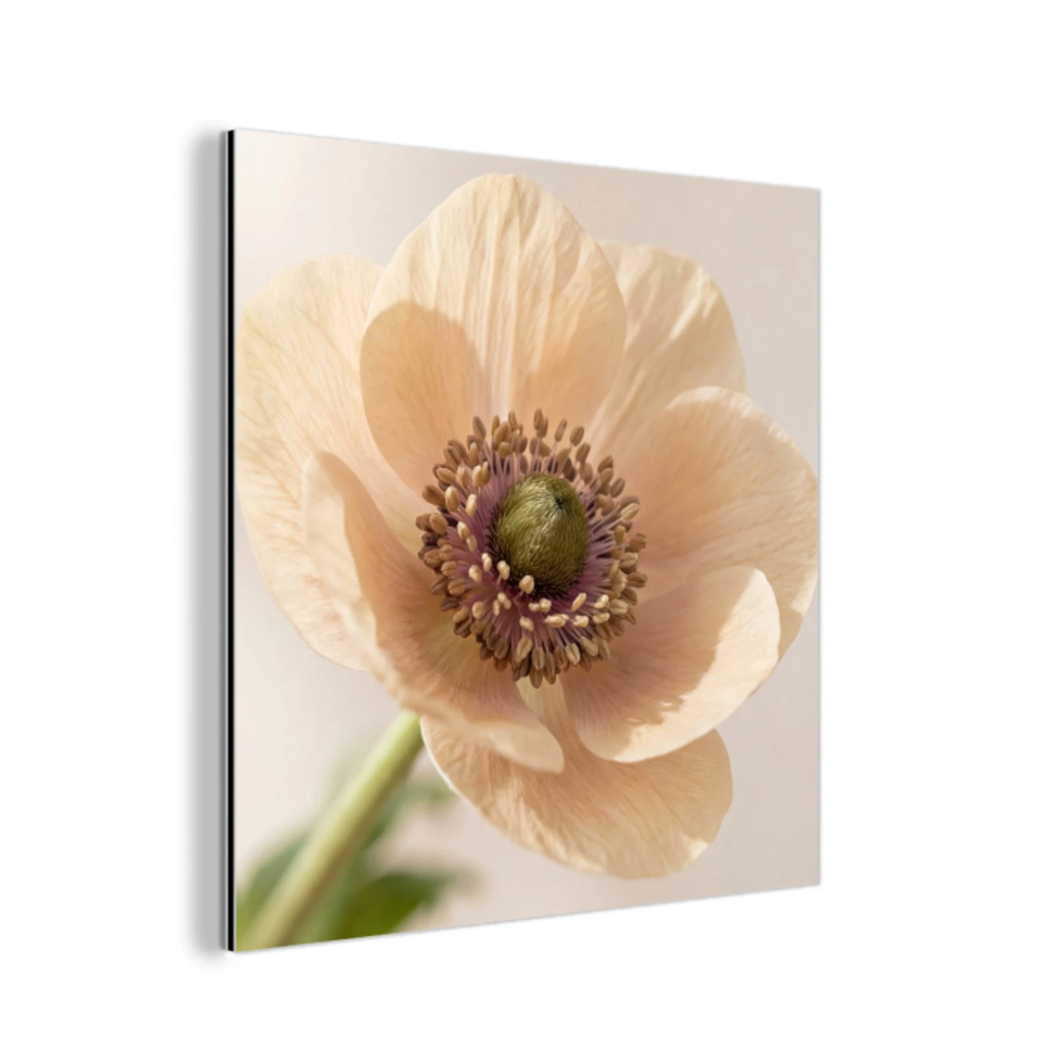 Bloem - Minimalistisch - Groen aluminium wit klein -3d