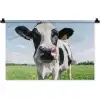 Koe - Weiland - Natuur - Dieren - Gras Wandkleed katoen klein -zz3d