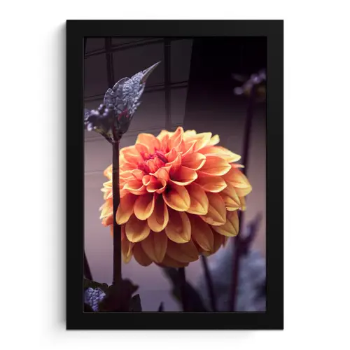 Bloemen - Chrysant - Macro - Planten fotolijst zwart zonder passe partout klein -3d