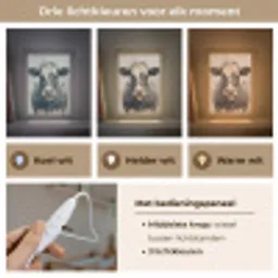 Koe - Portret - Dieren - Modern Light Box met kabel (Kinderlampje) klein -USP_lichtkleurNL
