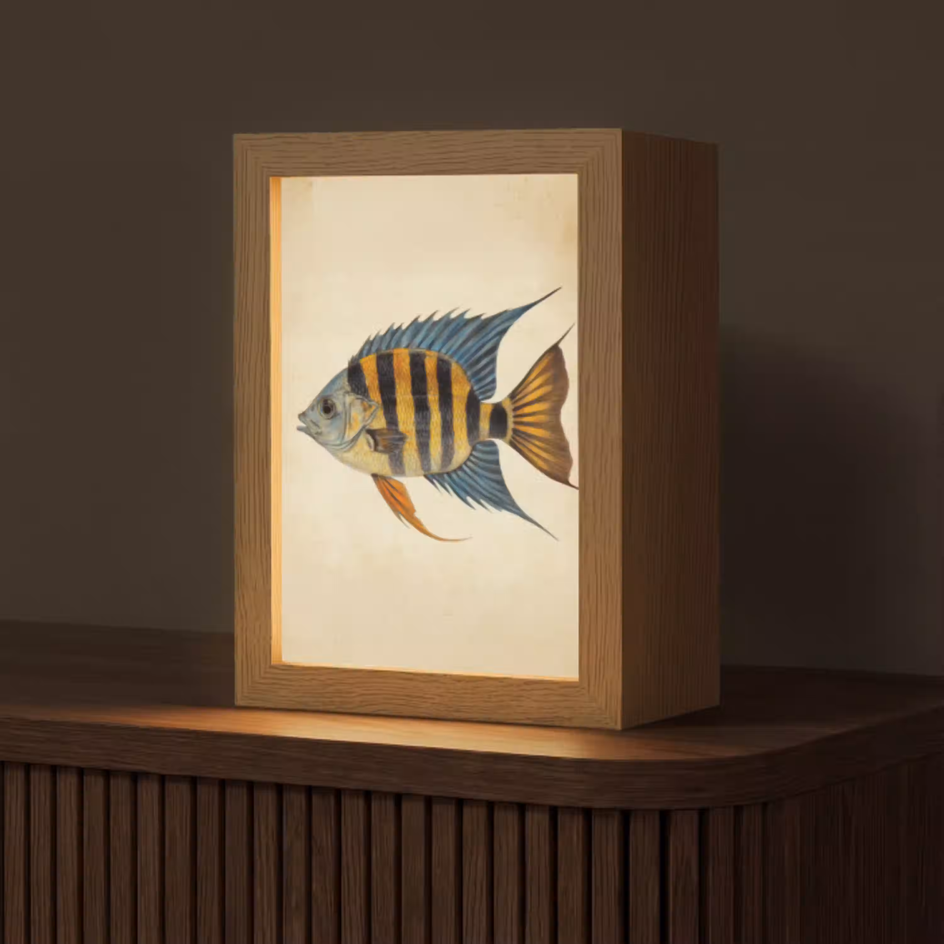 Vis - Tropisch - Strepen - Vinnen Light Box met kabel (Tafellamp) klein -z3d_website